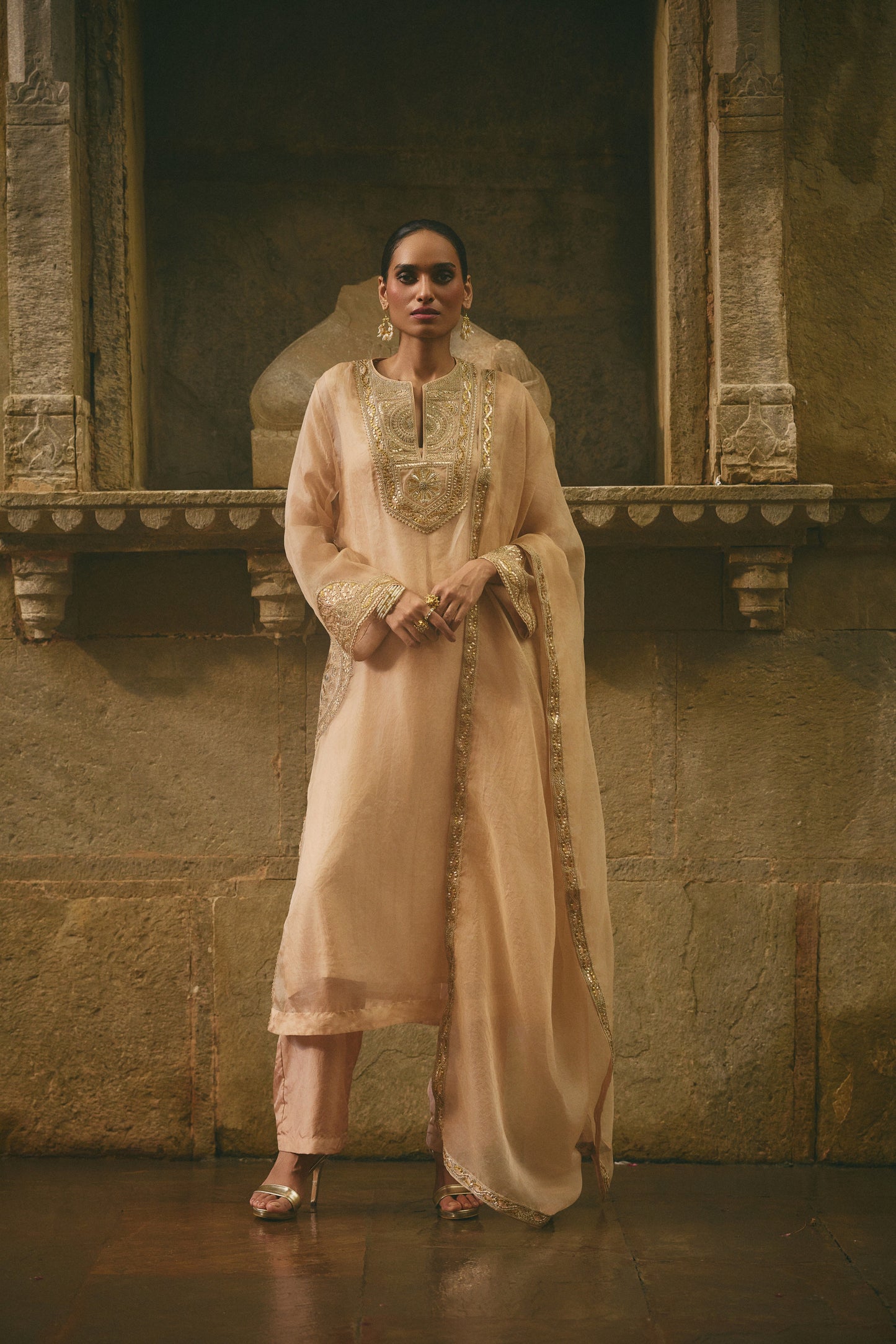 Beige Organza Kurta Set