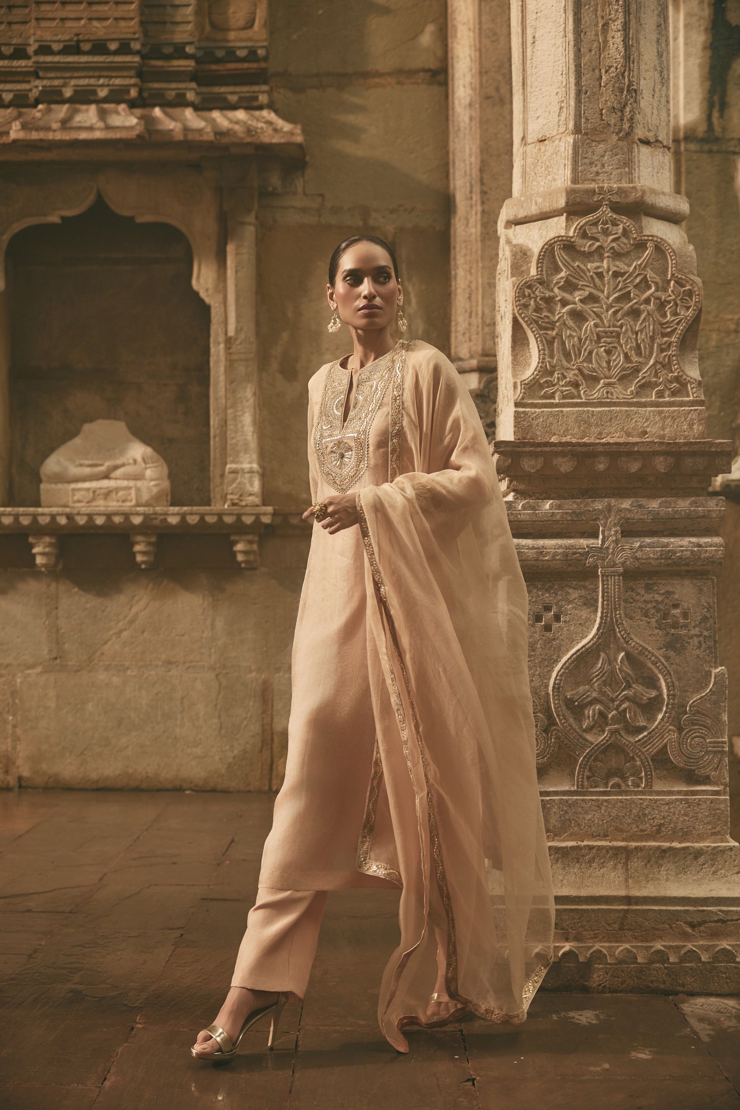 Beige Organza Kurta Set