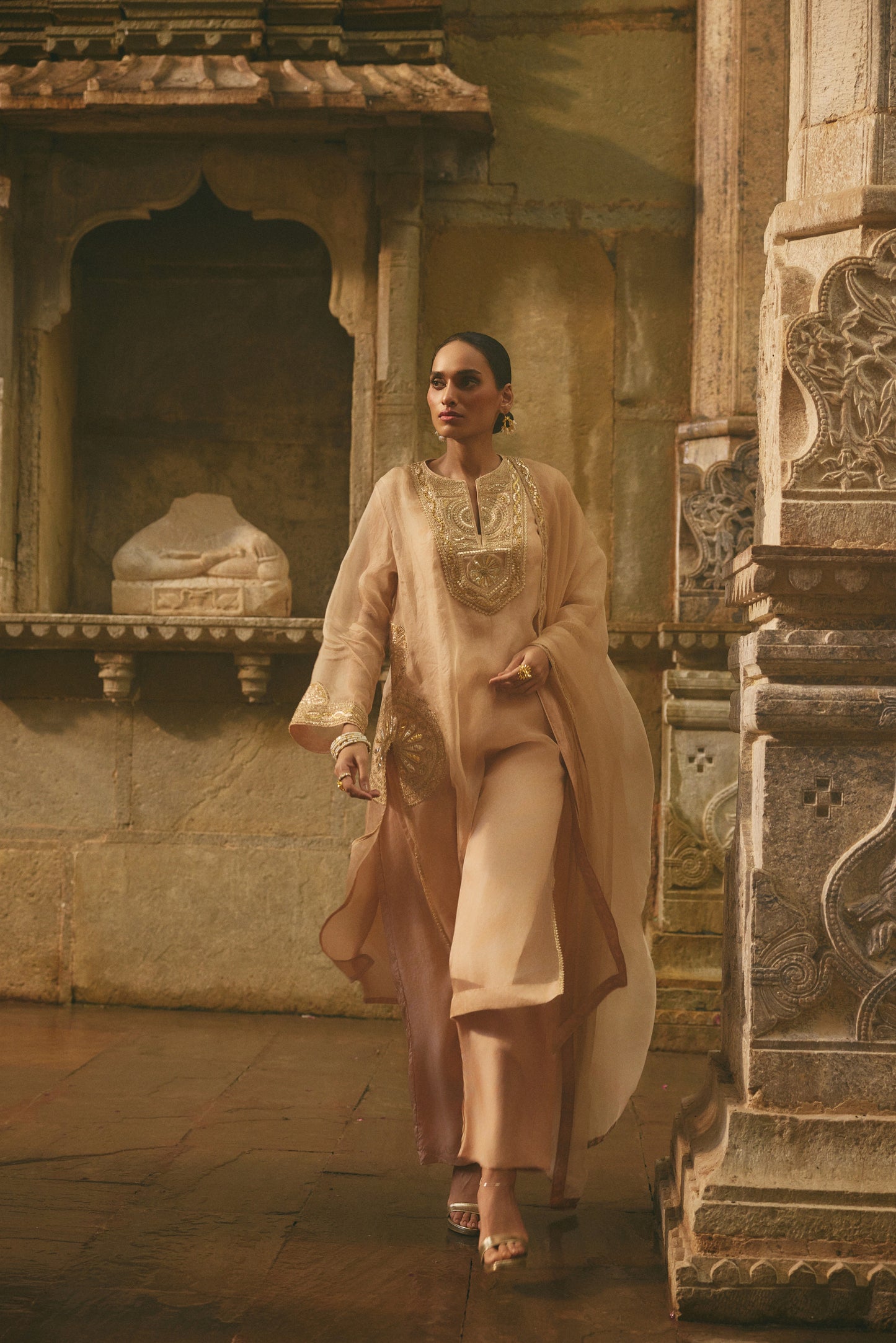 Beige Organza Kurta Set