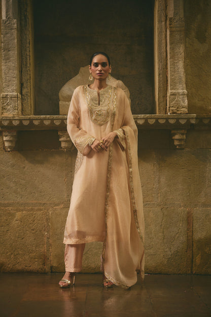 Beige Organza Kurta Set