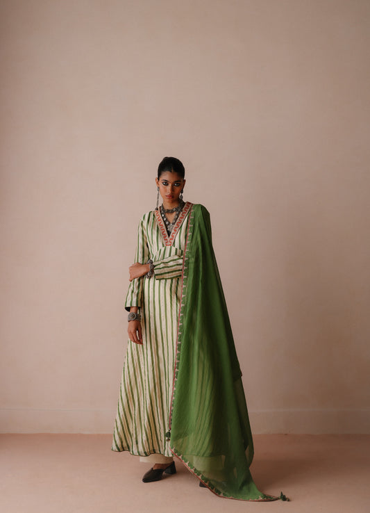 Green Stripe Anarkali Set