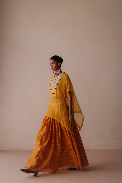 Ambi Skirt set