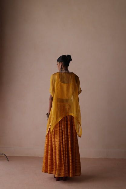 Ambi Skirt set