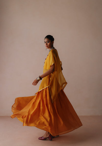 Ambi Skirt set